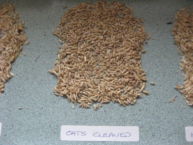 agricultural processing cleaned oats