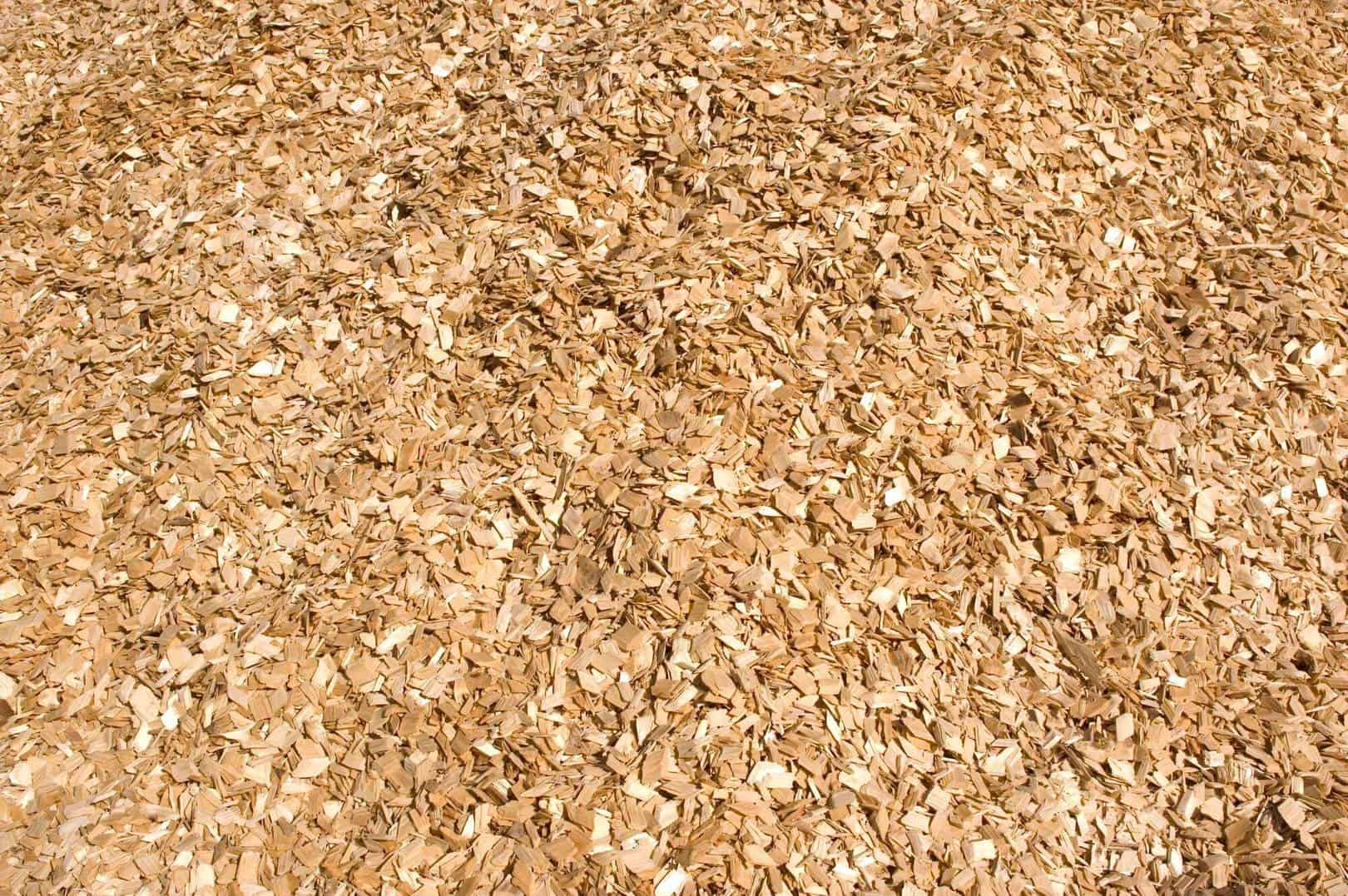 Wood Processing Wood Chips